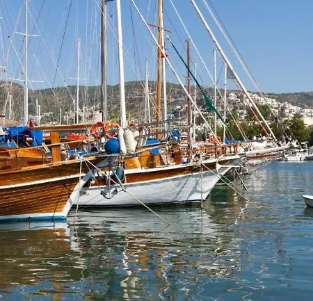 Apartahotel Emelce 3*