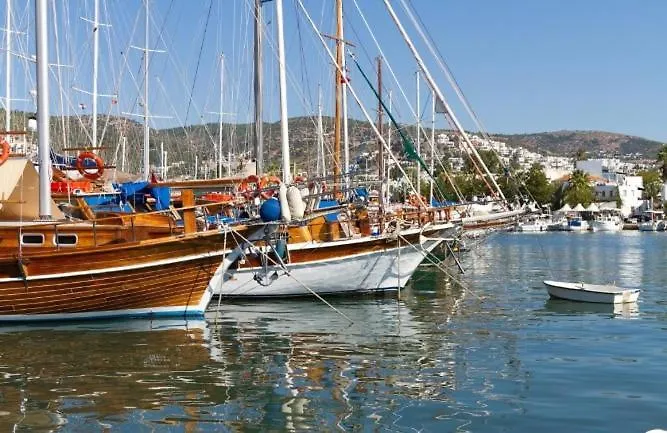 Apartahotel Emelce 3*