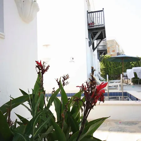 Emelce Apart Bodrum