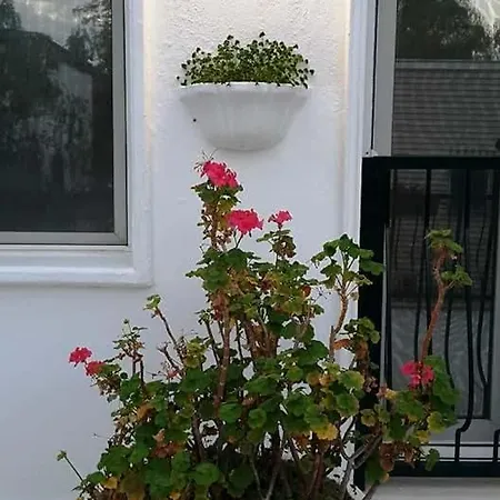 公寓式酒店 艾玛瓦公寓酒店 3*