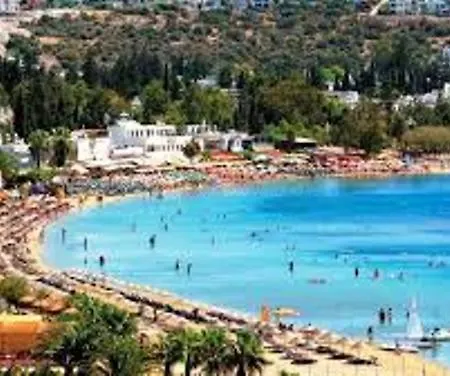 에멜체 Bodrum