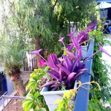 Lejlighedshotel Emelce Bodrum