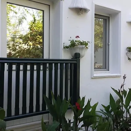 에멜체 Bodrum
