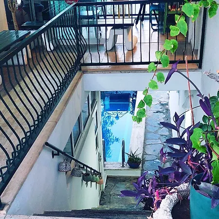 에멜체