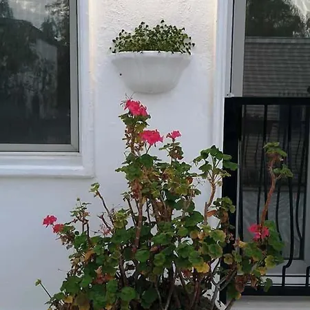 아파트호텔 에멜체 Bodrum
