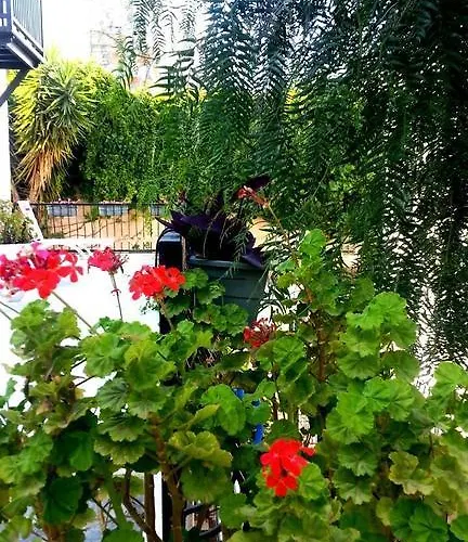 Emelce Apartmanhotel