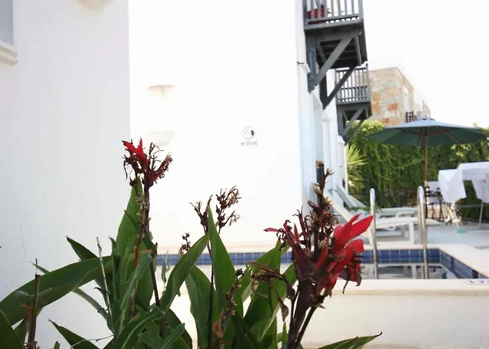 艾玛瓦公寓酒店 博德鲁姆